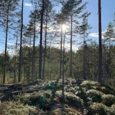 بيت للعطل Velkommen Til Finnskogen Og Minihytta Rimbila *