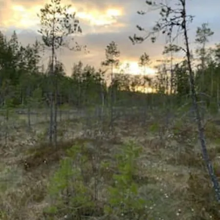 بيت للعطل Velkommen Til Finnskogen Og Minihytta Rimbila *