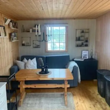 Velkommen Til Finnskogen Og Minihytta Rimbila كونغسفينغر