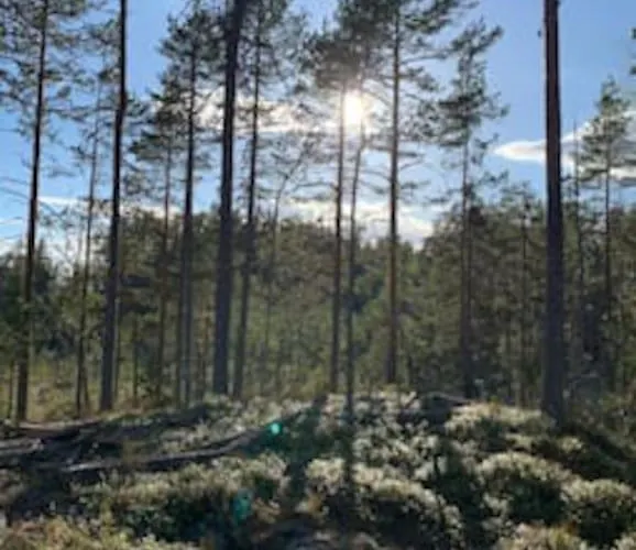 Semesterbostad Velkommen Til Finnskogen Og Minihytta Rimbila *