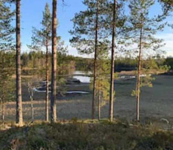 Velkommen Til Finnskogen Og Minihytta Rimbila Semesterbostad *