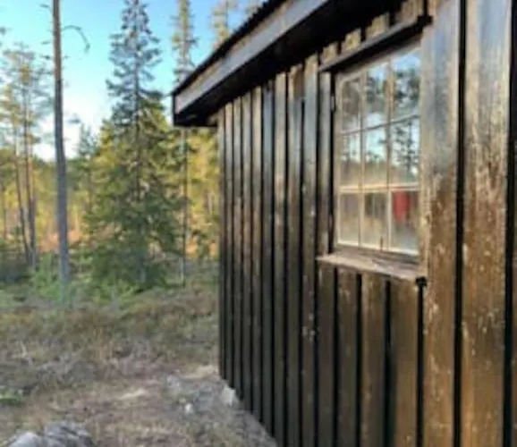 Velkommen Til Finnskogen Og Minihytta Rimbila Semesterbostad *