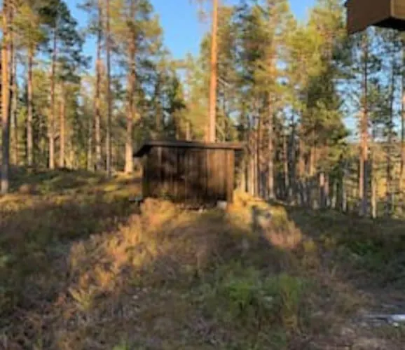 Semesterbostad Velkommen Til Finnskogen Og Minihytta Rimbila