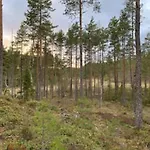 Velkommen Til Finnskogen Og Minihytta Rimbila * Kongsvinger