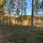 Velkommen Til Finnskogen Og Minihytta Rimbila * Kongsvinger