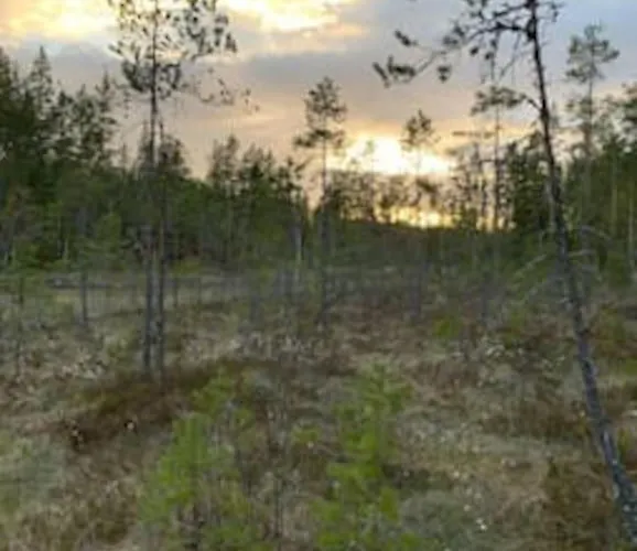 Vakantiehuis Velkommen Til Finnskogen Og Minihytta Rimbila *