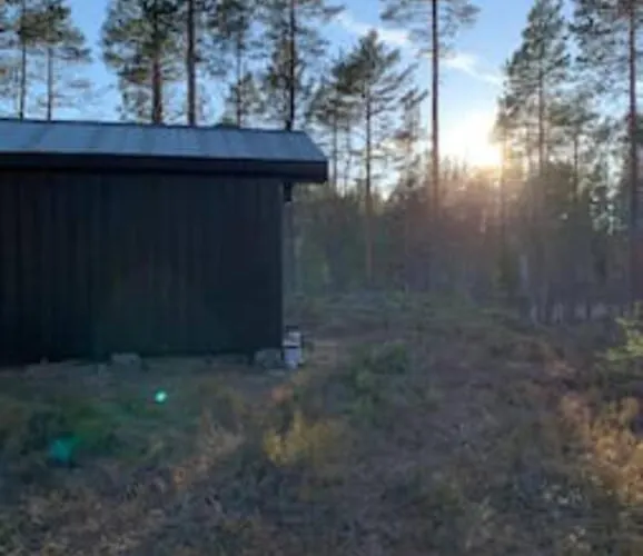 Velkommen Til Finnskogen Og Minihytta Rimbila *