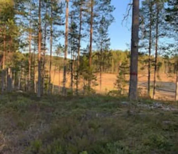 Velkommen Til Finnskogen Og Minihytta Rimbila * Kongsvinger